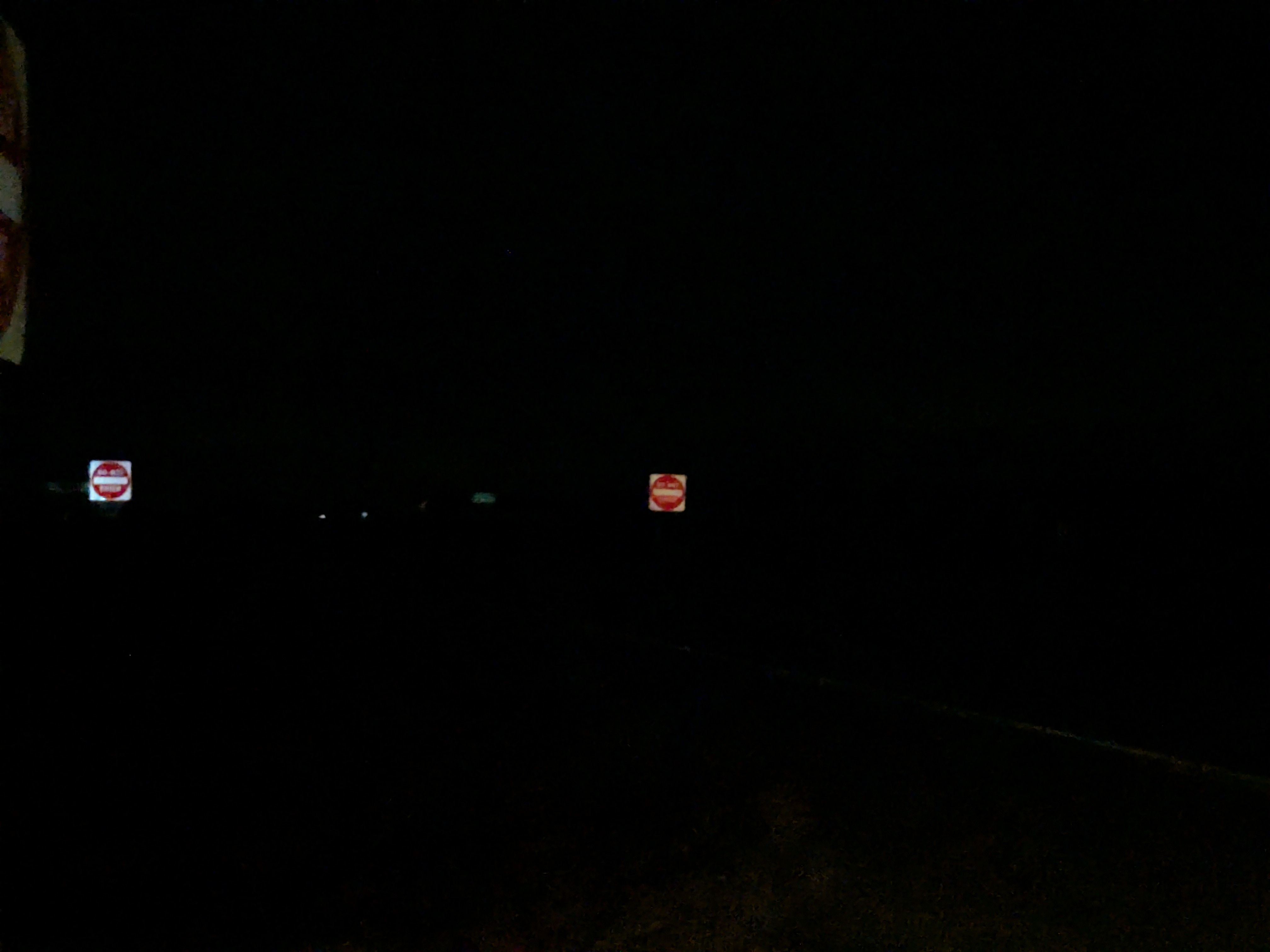 dark road at night illuminated by car headlights reflecting off two Do Not Enter signs